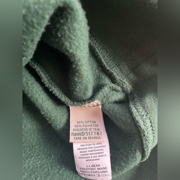 LL Bean vintage style green hooded sweatshirt - size large - Picture 4 of 7
